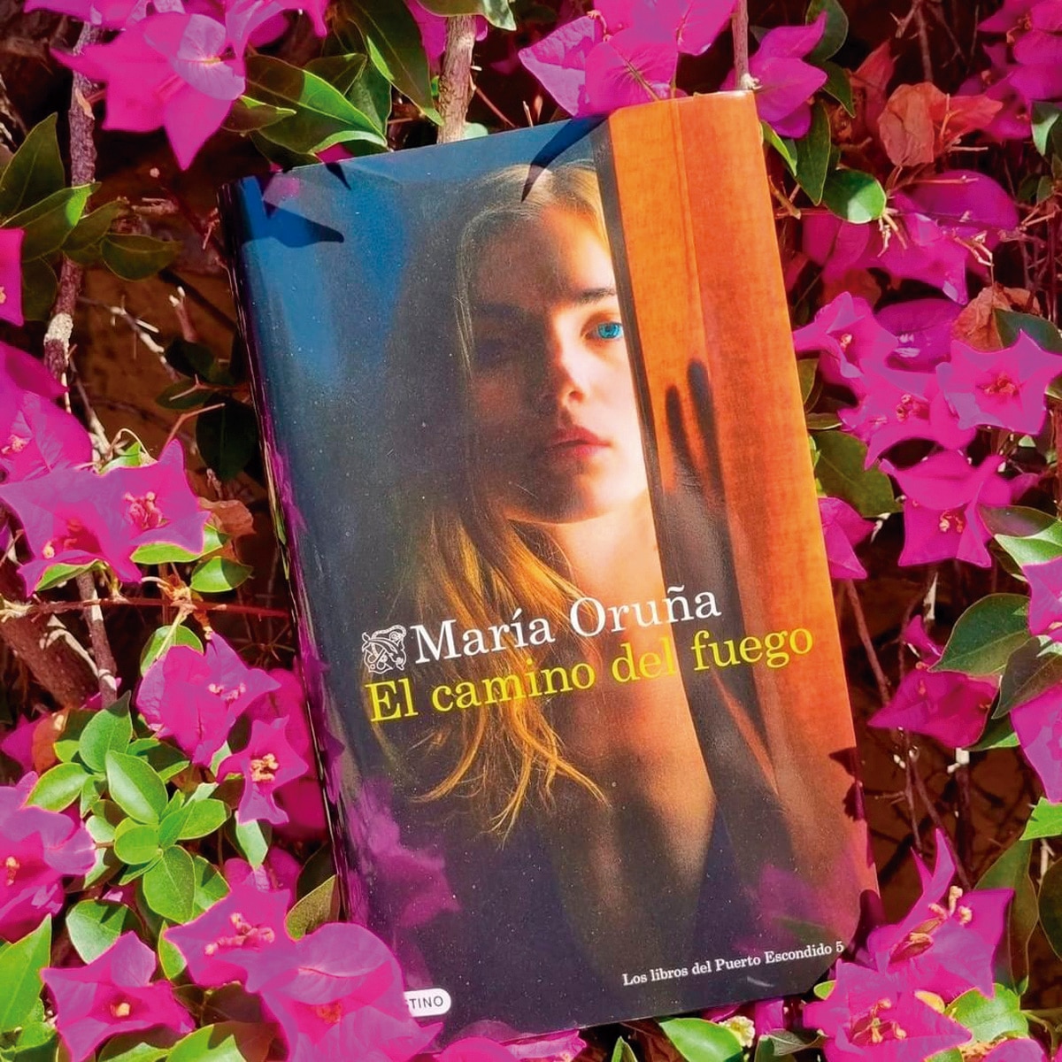 El camino del fuego (Los libros del Puerto Escondido) (Bolso) 4