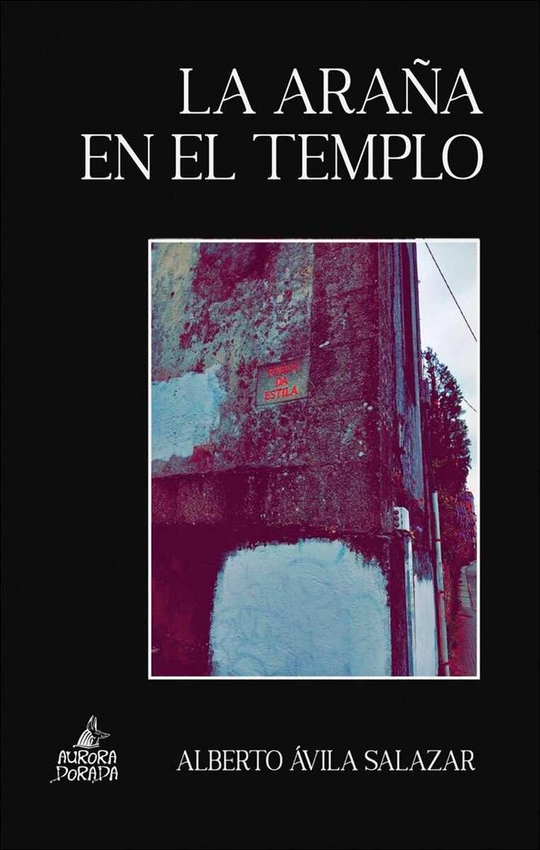 Imagen 0 de La araña en el templo (Tapa blanda)