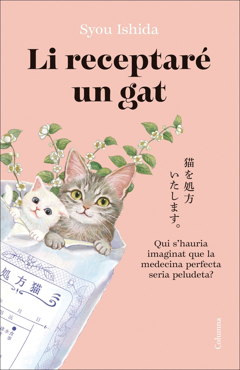 Imagem 0 de Li receptaré un gat