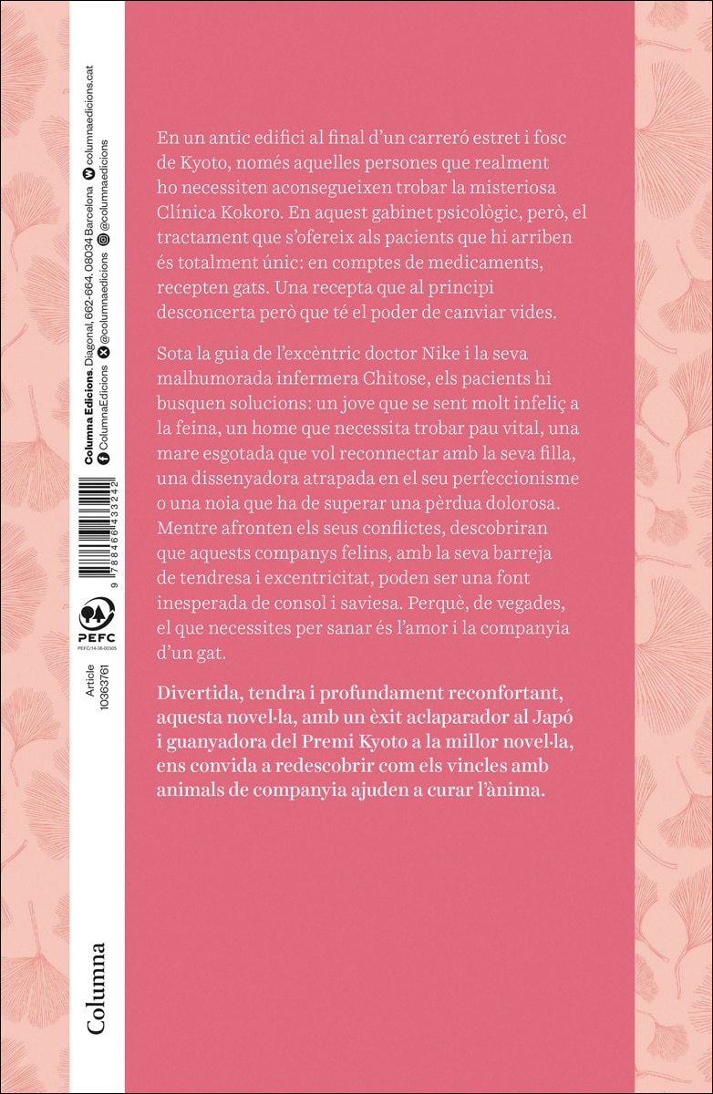 Li receptaré un gat 2