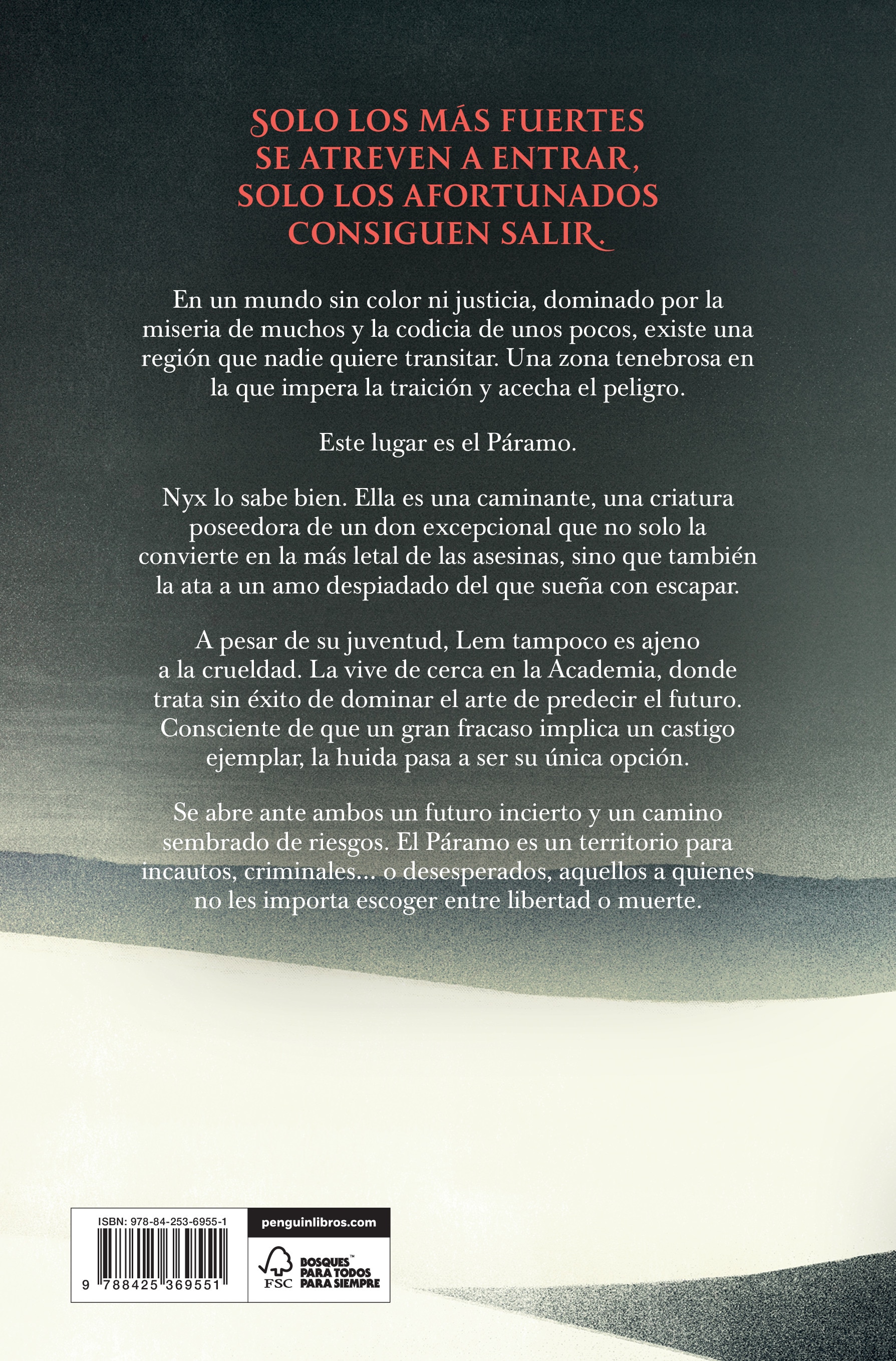 Gris era el páramo (Capa mole) 2