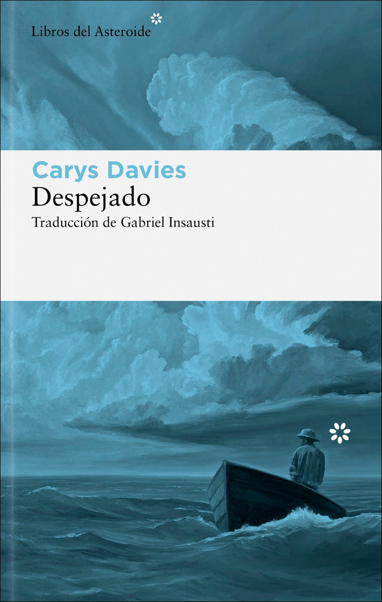 Despejado (Capa mole com abas) 1