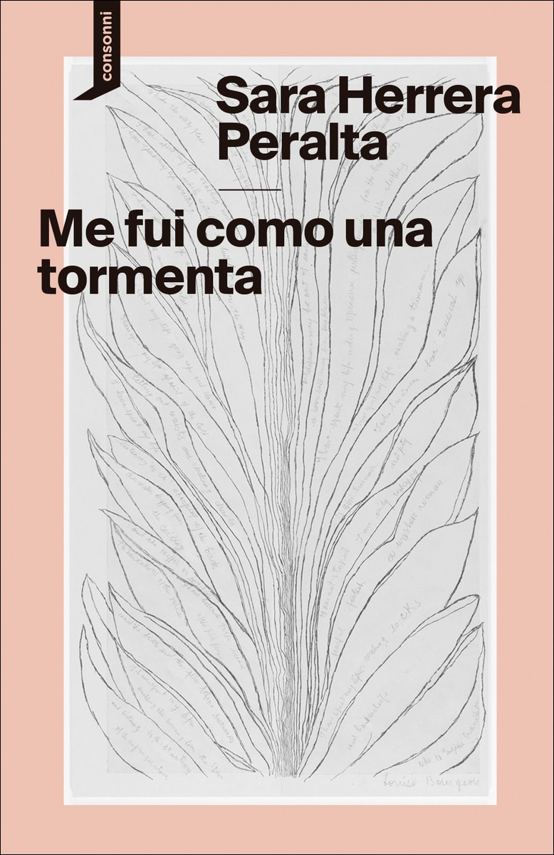 Imagem 0 de Me fui como una tormenta