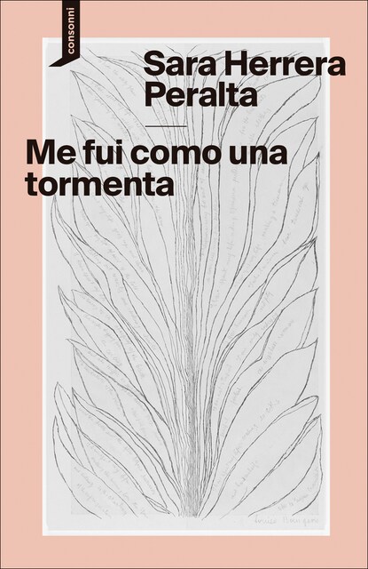 Imagem 0 de Me fui como una tormenta