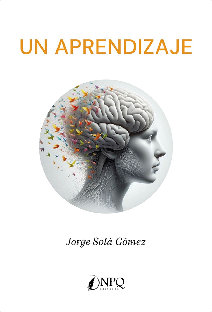 Un aprendizaje (Capa mole com abas) 1
