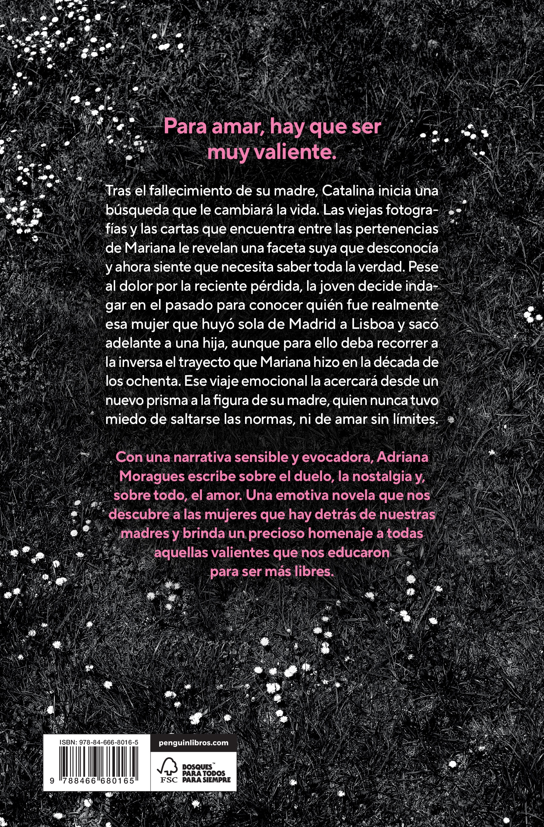 Nadie olvida tu nombre (Capa mole) 2