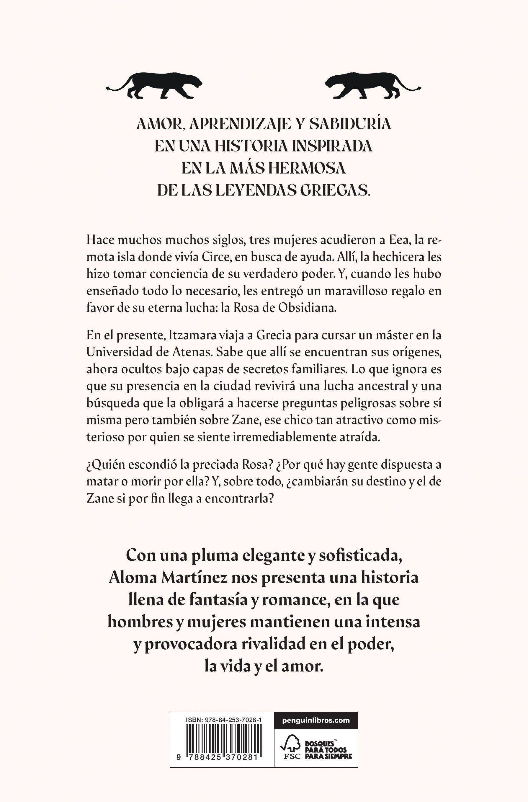 Obsidiana (Capa mole) 2