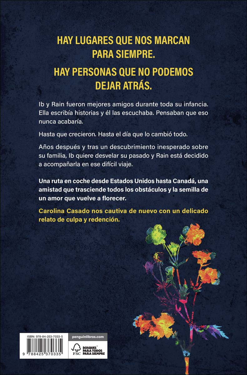 El corazón y la lluvia (Capa mole) 2