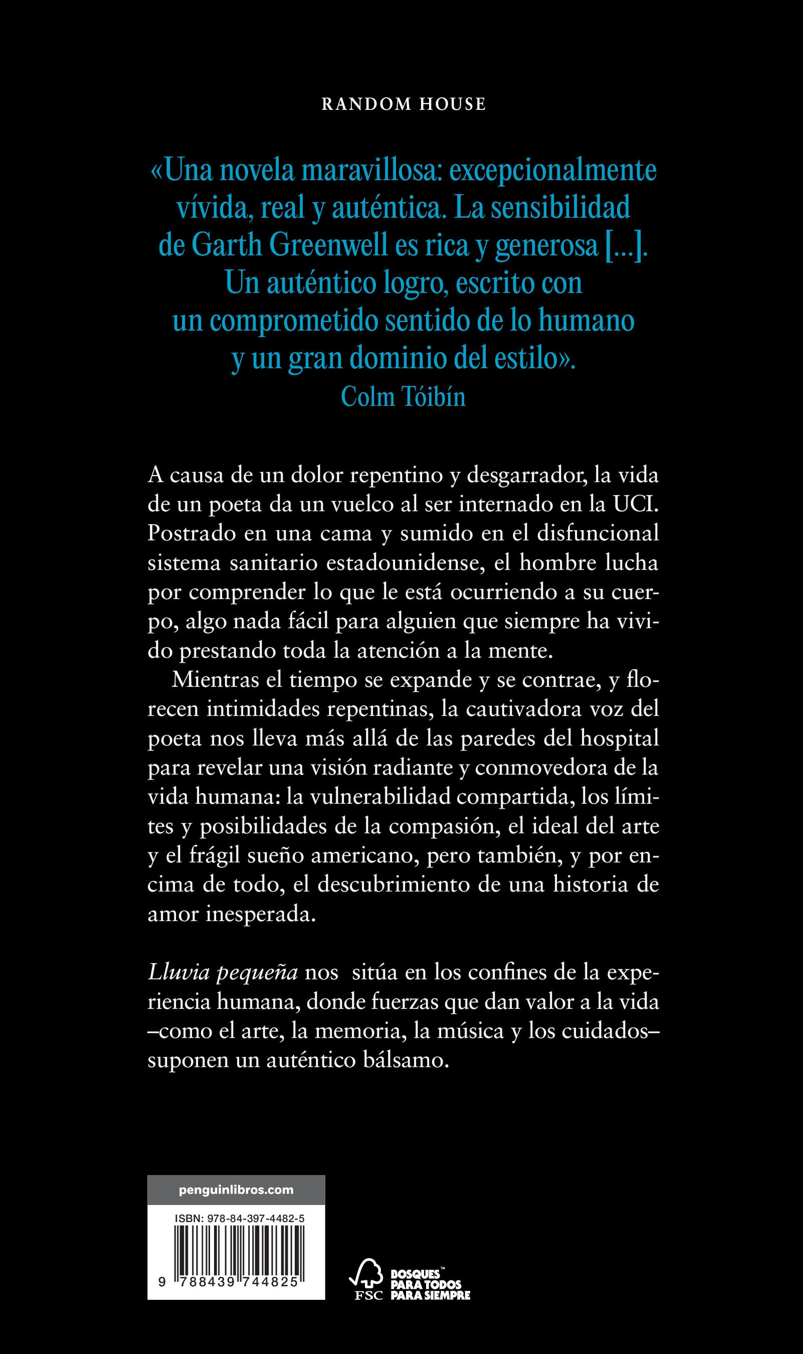 Lluvia pequeña (Capa mole) 2