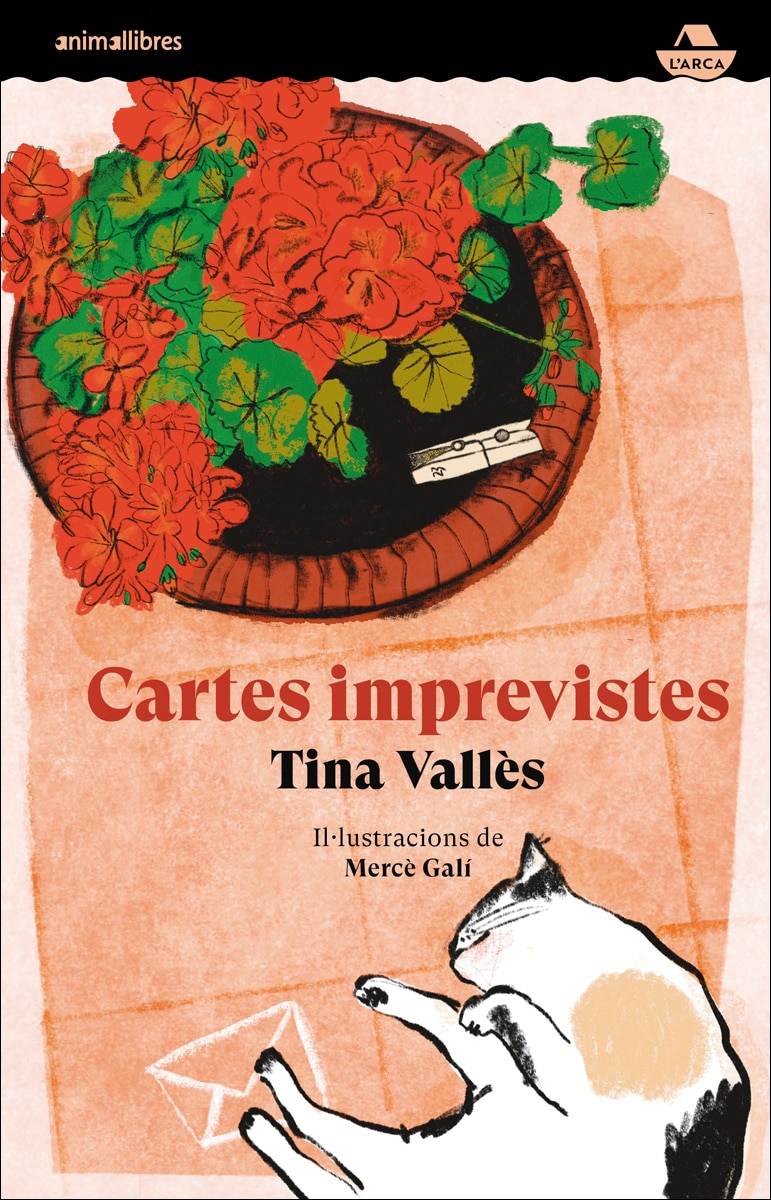 Imagem 0 de Cartes imprevistes