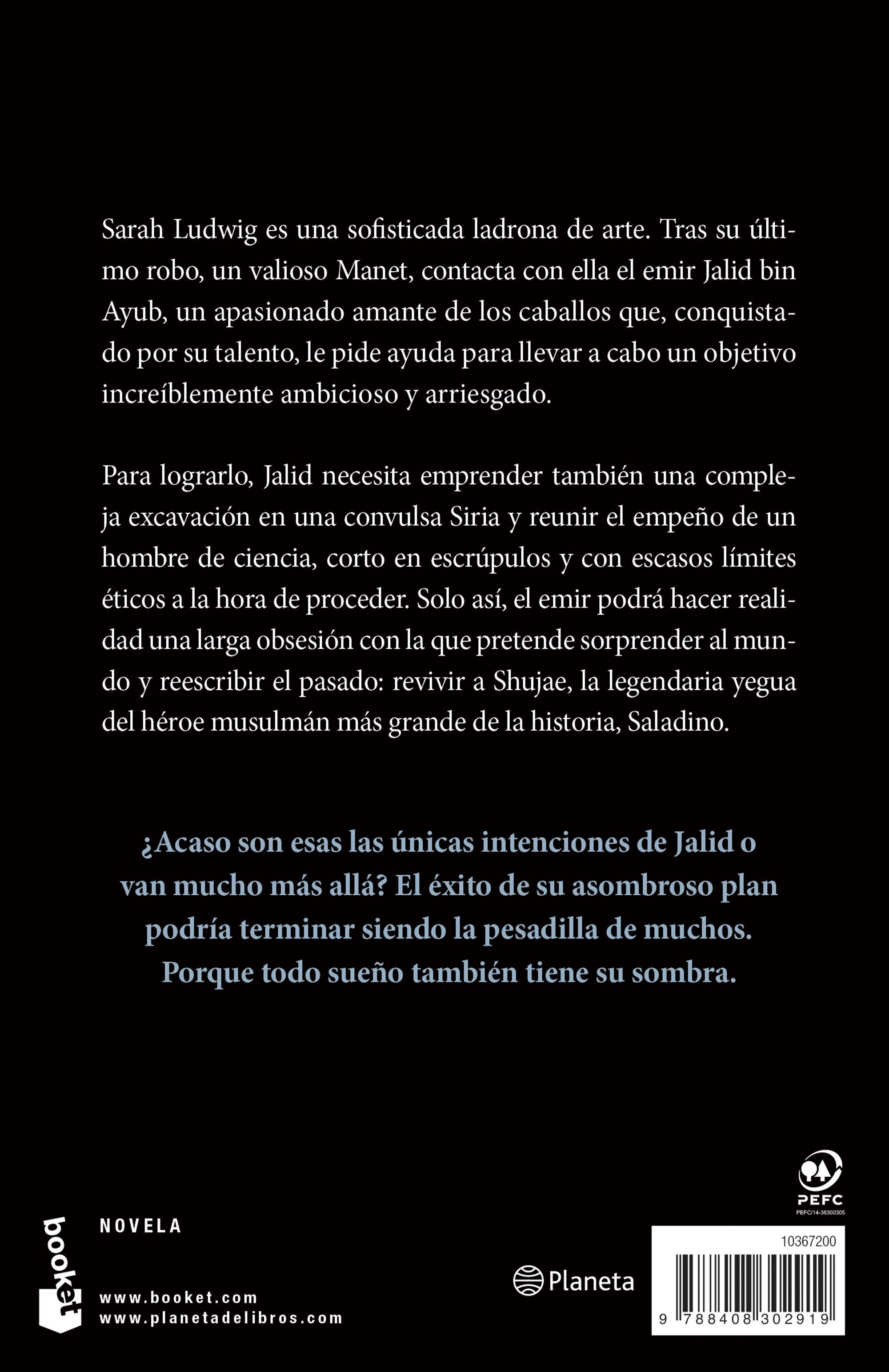 La sombra de los sueños (Bolso) 2