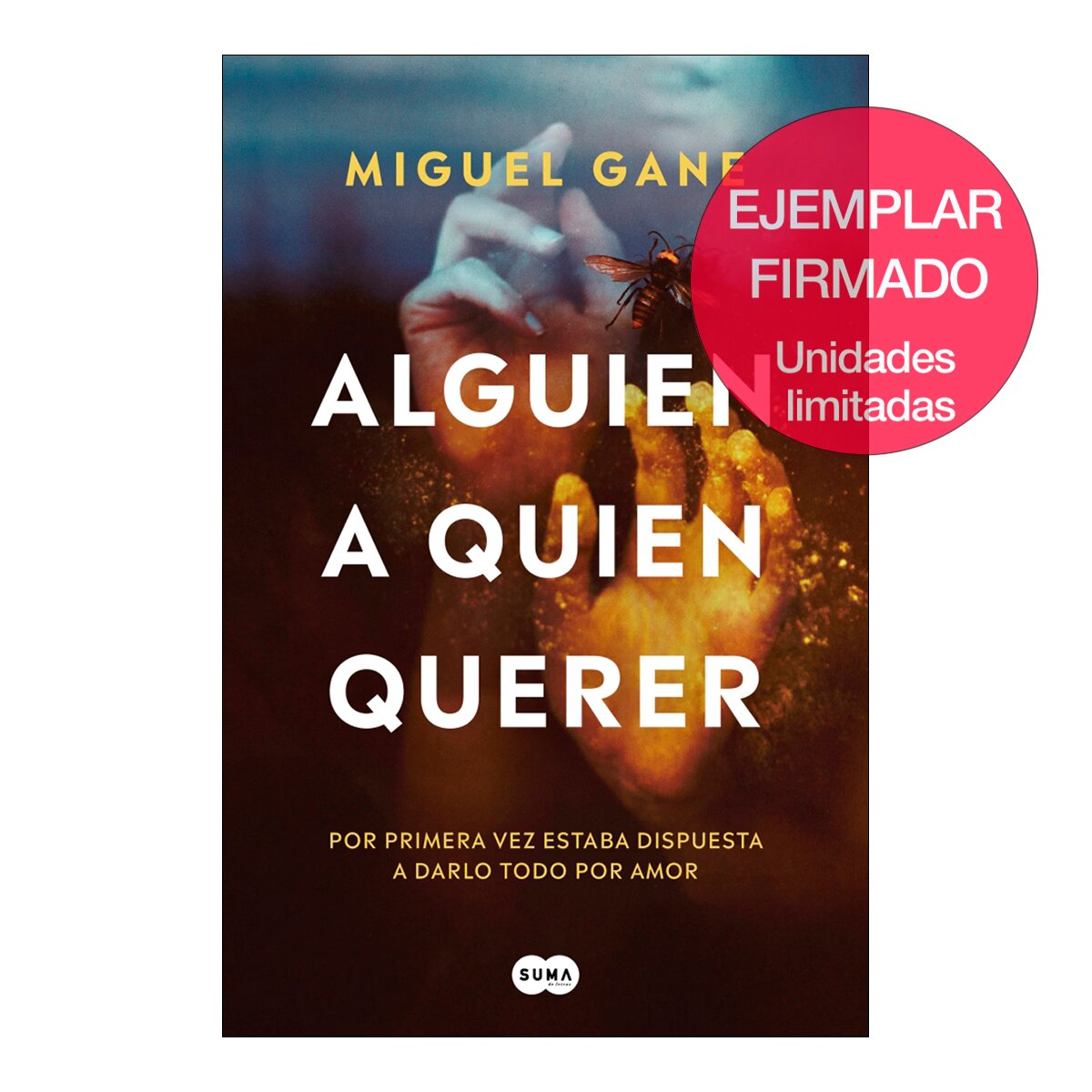 Imagem 0 de Alguien a quien querer (Capa mole)