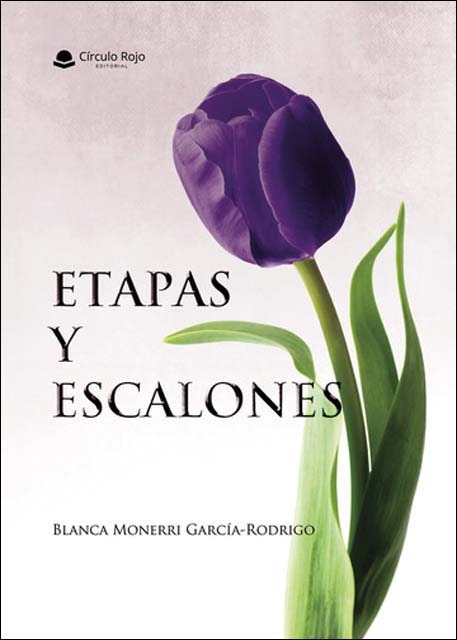 Etapas y escalones 1
