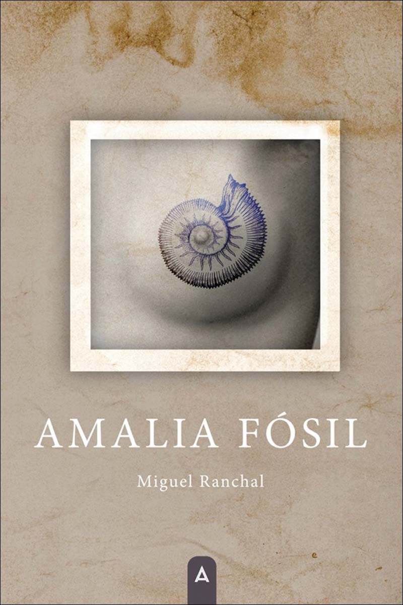 Imagem 0 de Amalia Fósil (Bolso) (Capa mole)