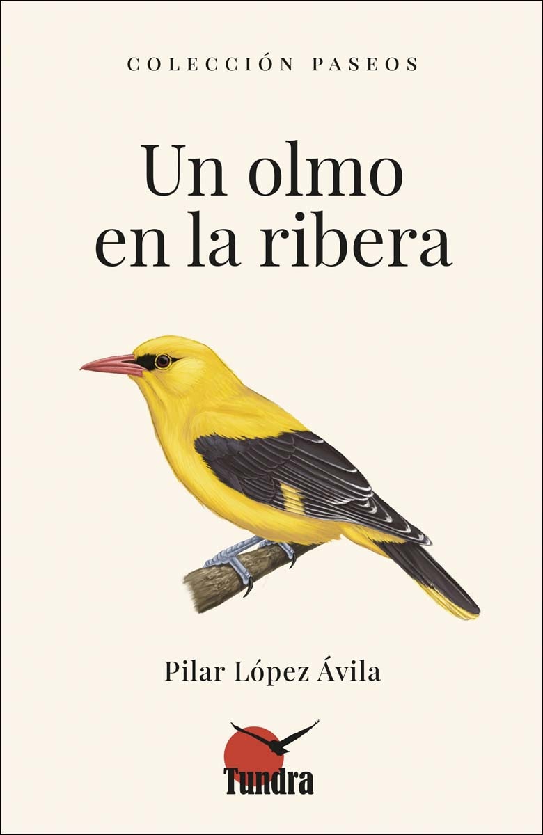 Imagem 0 de Un olmo en la ribera