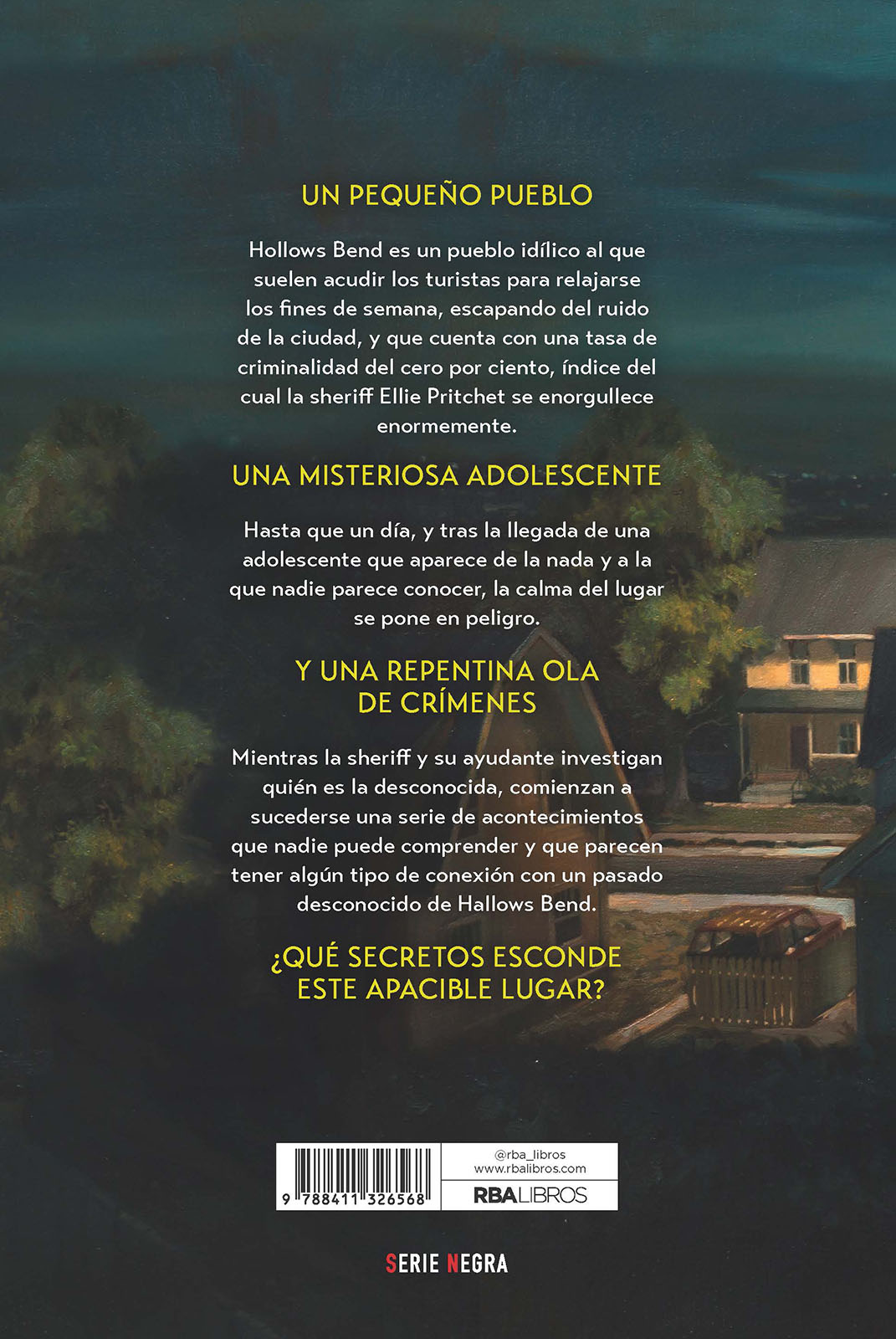 La desconocida: J.D. Barker y James Patterson (Capa mole) 2