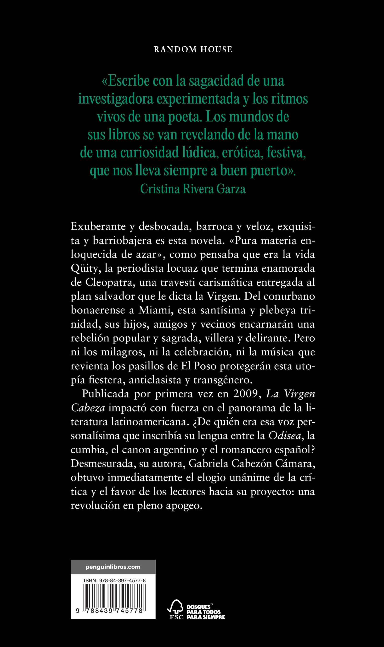 La virgen cabeza (Capa mole) 2