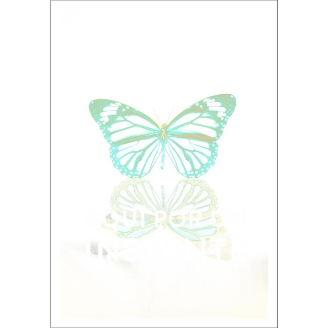 Imagem 0 de Aquí por un instante (Capa mole)