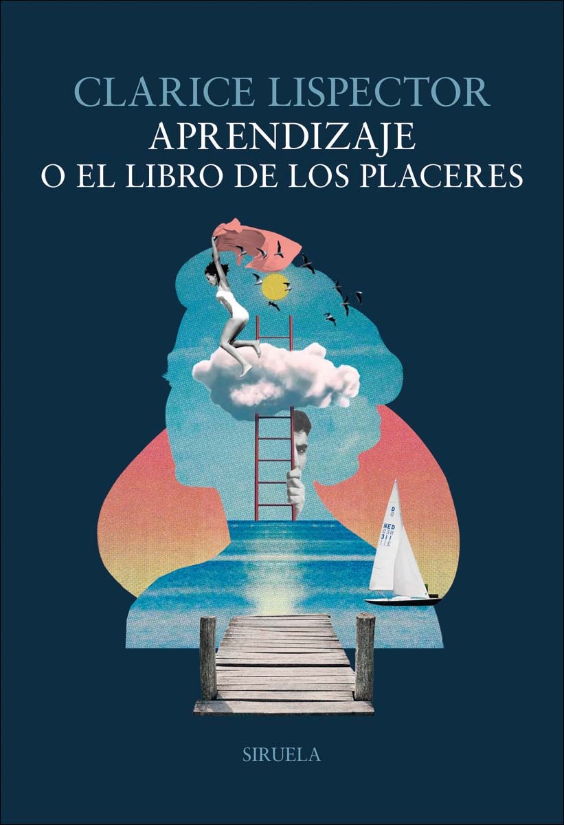 Aprendizaje o El libro de los placeres (Capa mole com abas) 1