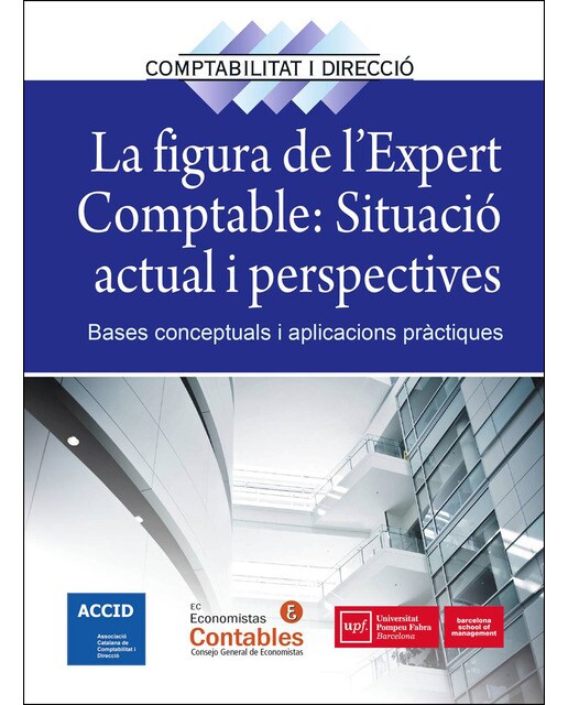 La Figura De L'Expert Comptable. Situació Actual I 1