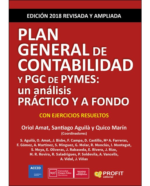 Plan General De Contabilidad y PGC de Pymes: Un Análisis Práctico y a Fondo 1
