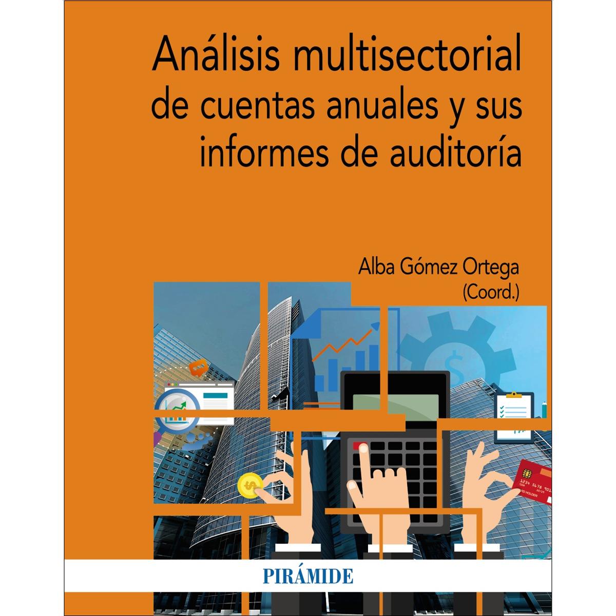 Análisis multisectorial de cuentas anuales y sus informes de auditoría(Tapa blanda) 1