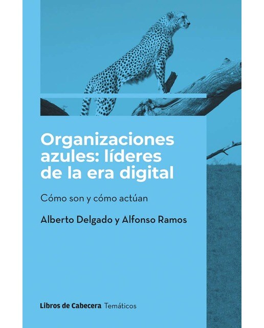 Organizaciones azules: lideres de la era digital 1