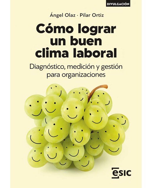 Cómo lograr un buen clima laboral: Diagnóstico, medición y gestión para organizaciones(Tapa blanda) 1