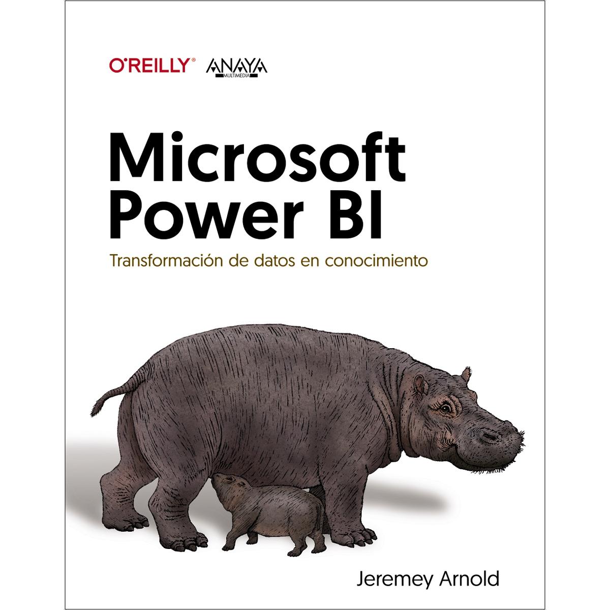 Microsoft Power BI. Transformación de datos en conocimiento (Capa mole com abas) 1