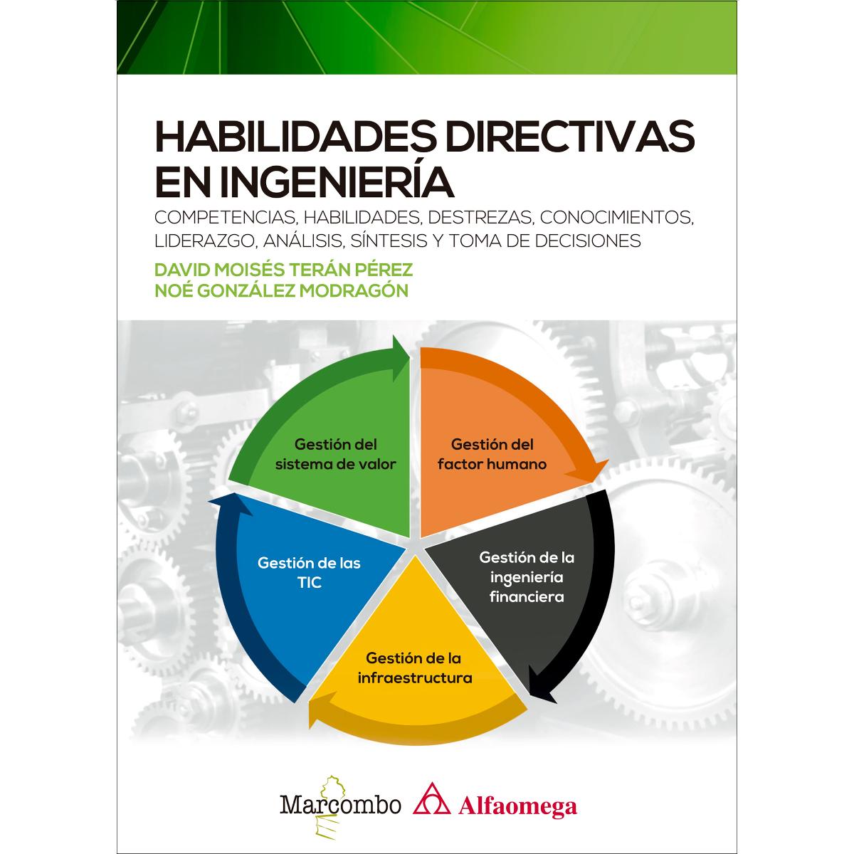 Habilidades directivas en ingeniería (Capa mole) 1