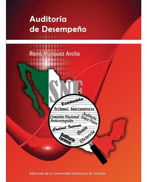 Auditoría de desempeño 1