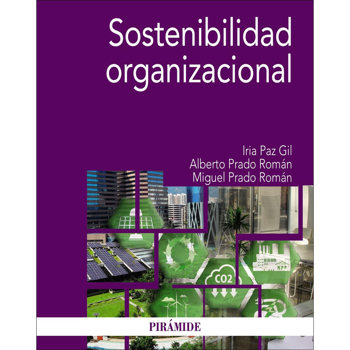 Sostenibilidad organizacional 1