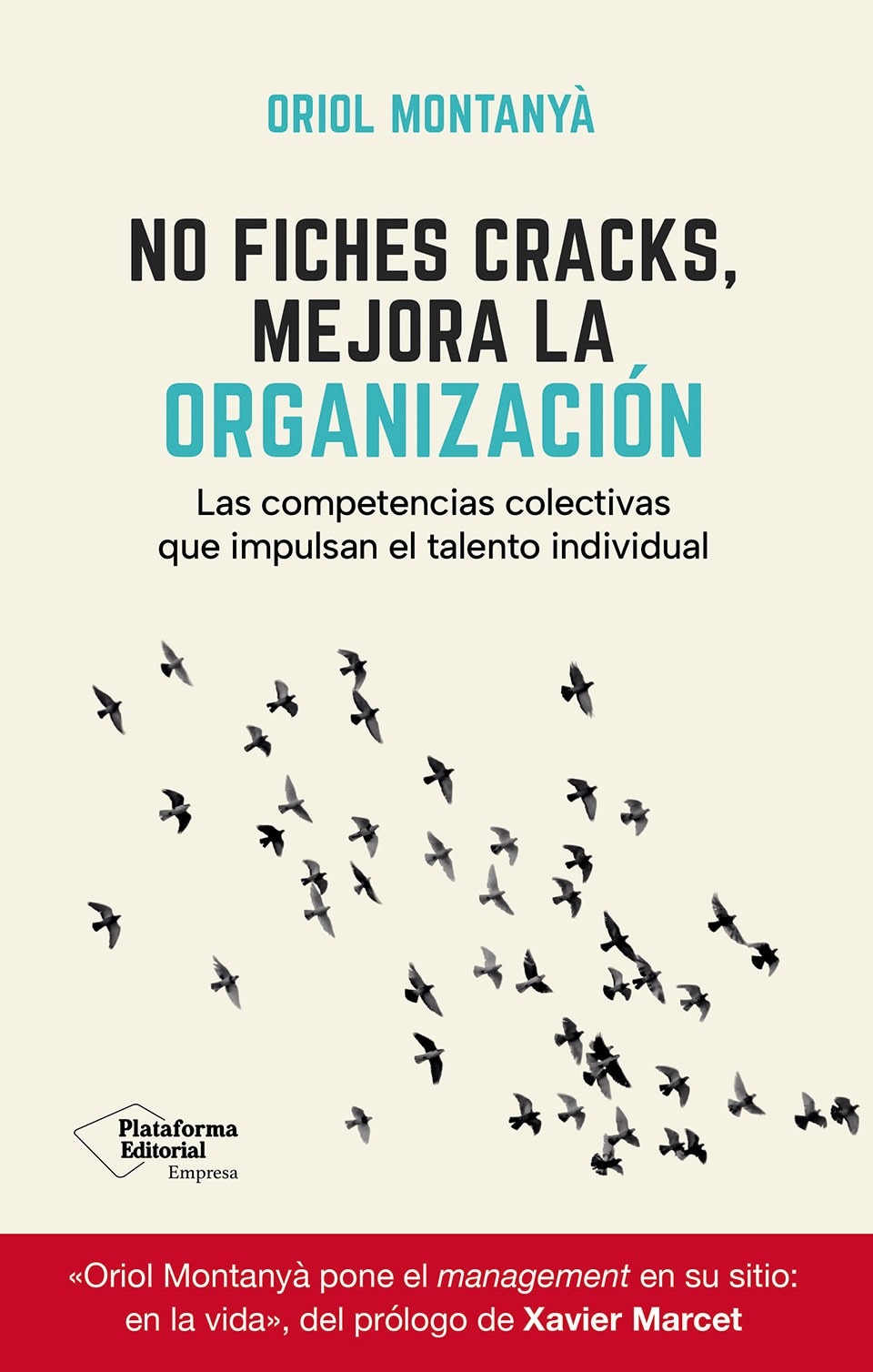 Imagen 0 de NO FICHES CRACKS, MEJORA LA ORGANIZACION  (Tapa blanda con solapas)