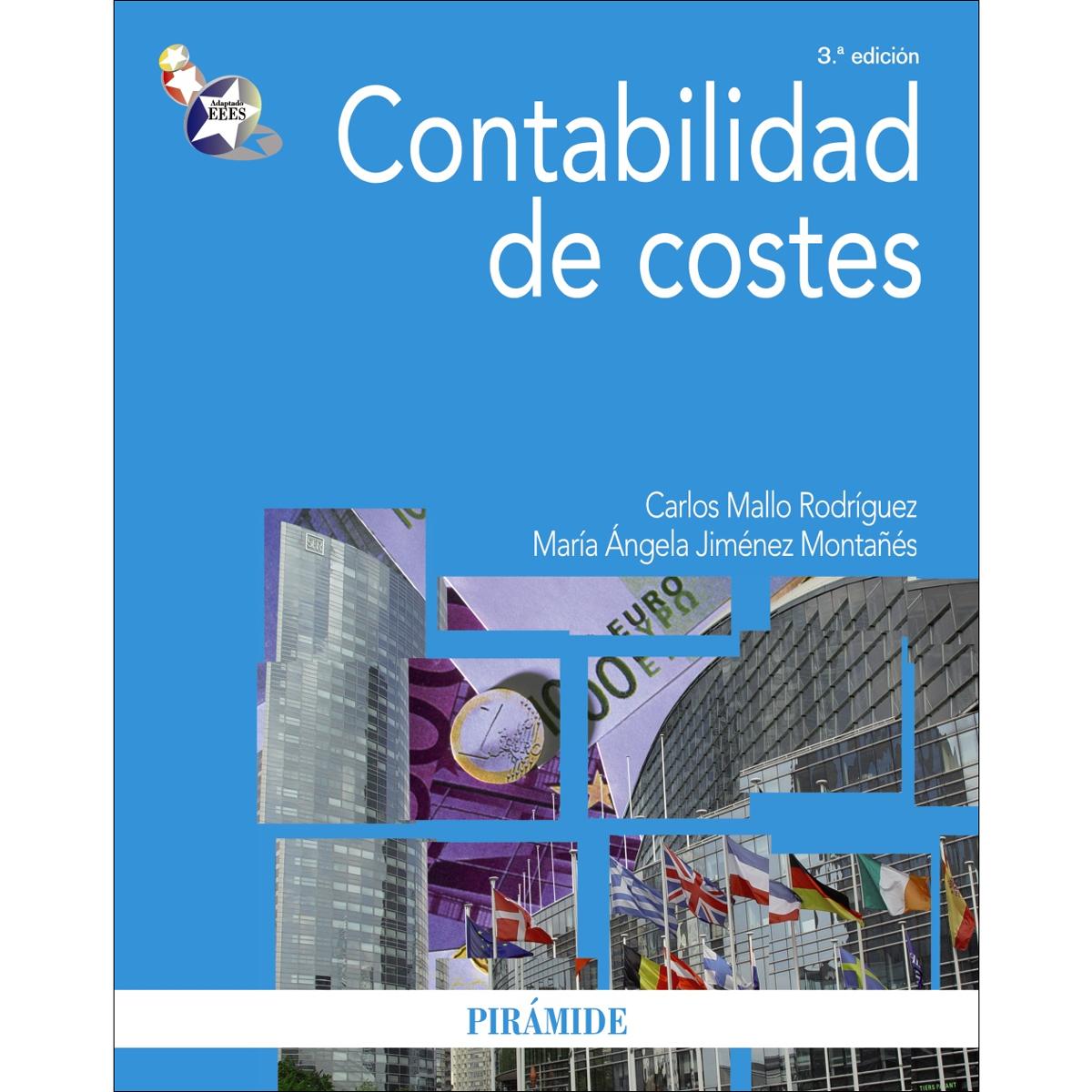 Contabilidad de costes(Tapa blanda) 1