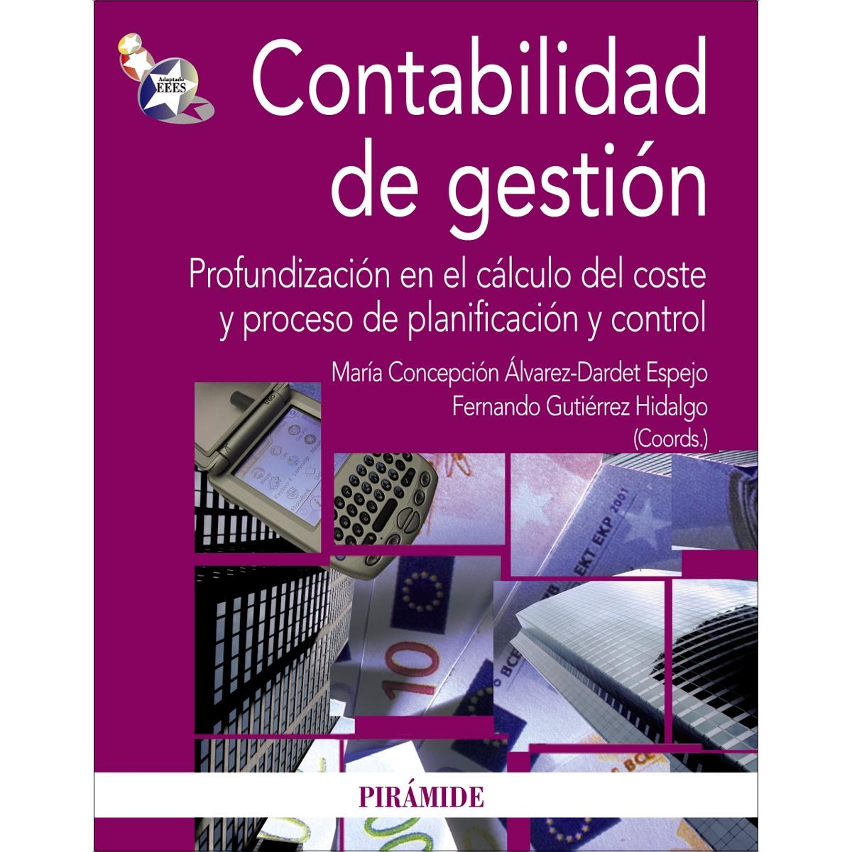Contabilidad de gestión: Profundización en el cálculo del coste y proceso de planificación y control(Tapa blanda) 1