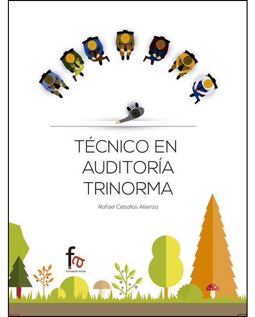 Técnico En Auditoría Trinorma 1