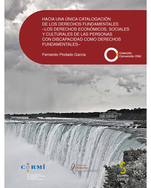 Imagen 0 de Hacia una unica catalogación de los derechos fundamentales: Los derechos económicos, sociales y culturales de las personas con dis (Tapa blanda)