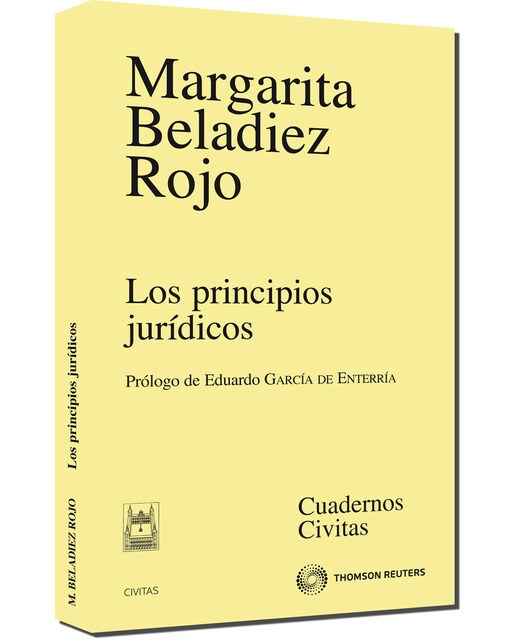 Los principios jurídicos(Tapa blanda) 1