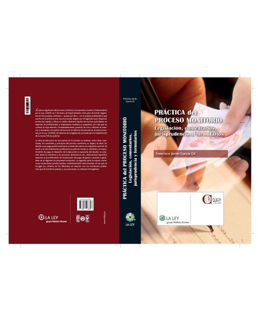 Práctica del proceso monitorio: Legislación, comentarios, jurisprudencia y formularios (Tapa dura) 1