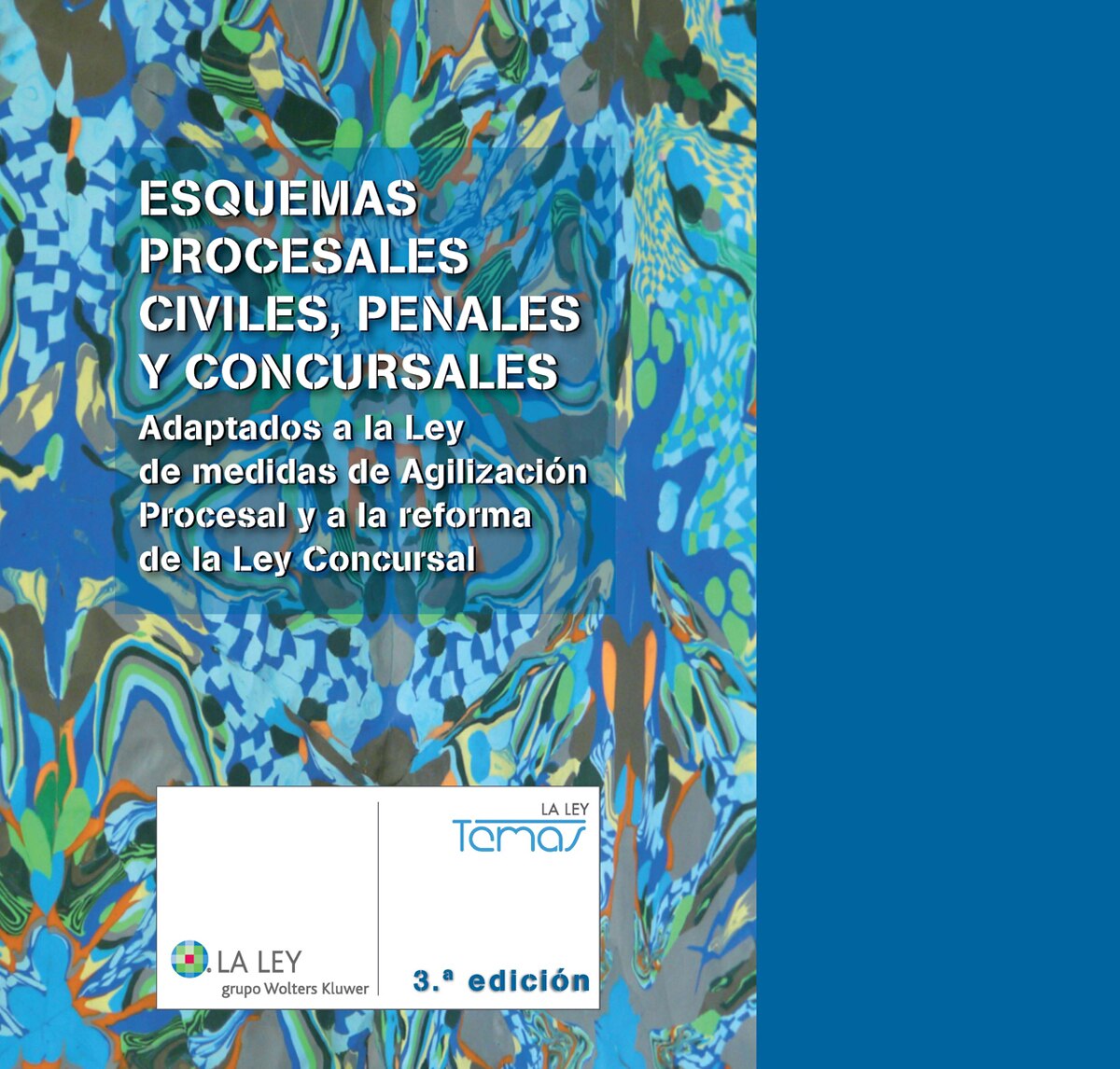 Esquemas procesales civiles, penales y concursales (3.ª edición): Adaptados a la reforma de la nueva oficina judicial (Capa mole com abas) 1