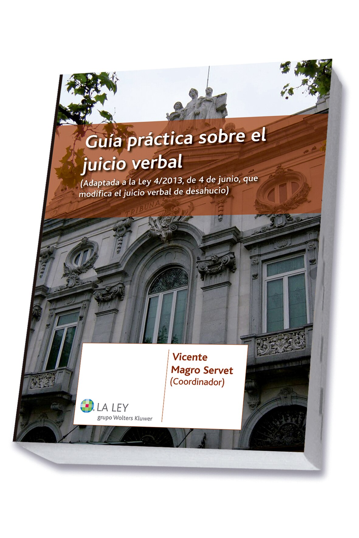 Imagem 0 de Guía práctica sobre el juicio verbal (Capa mole com abas)