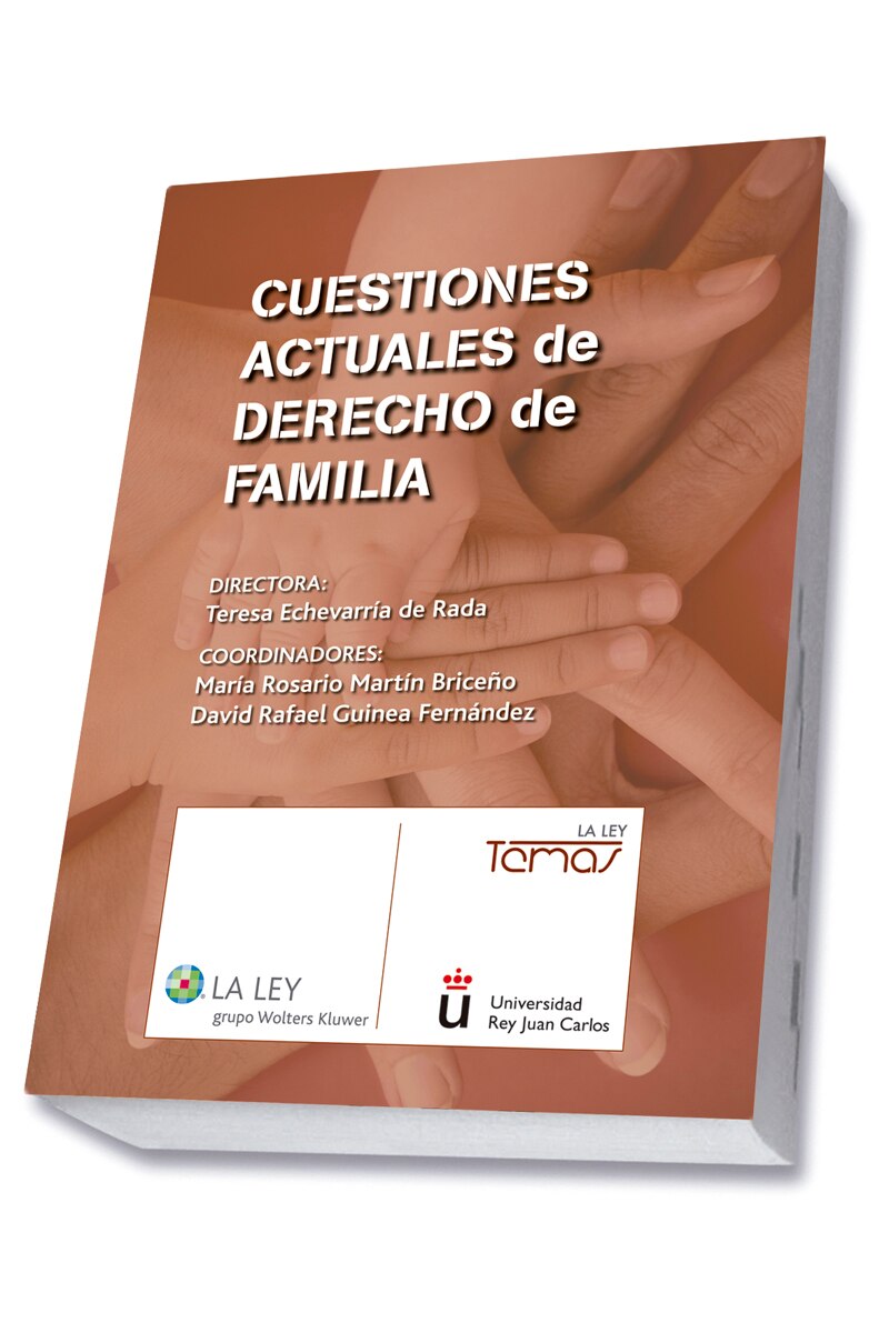 Imagem 0 de Cuestiones actuales de Derecho de familia (Capa mole com abas)