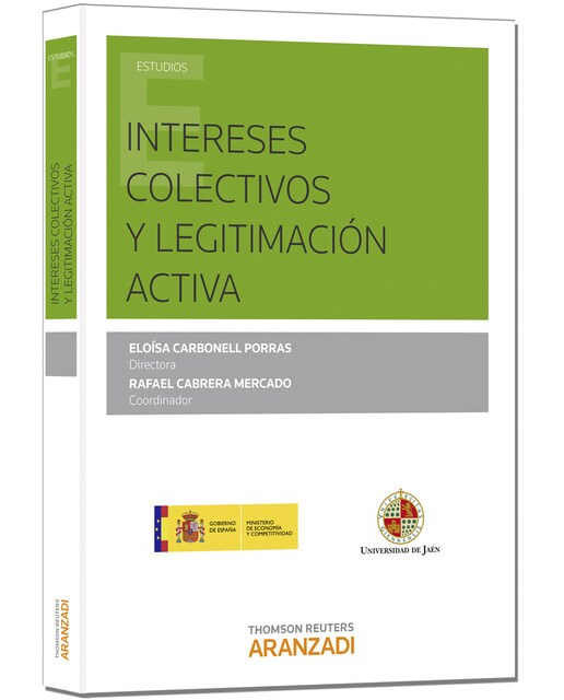Intereses colectivos y legitimación activa(Tapa blanda) 1
