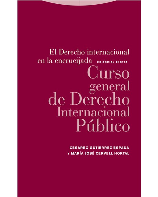 El derecho internacional en la encrucijada: Curso general de derecho internacional público(Tapa blanda) 1