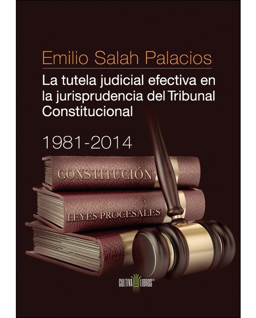 La Tutela Judicial Efectiva En La Jurisprudencia Del Tribunal Constitucional. 1981-2014 1