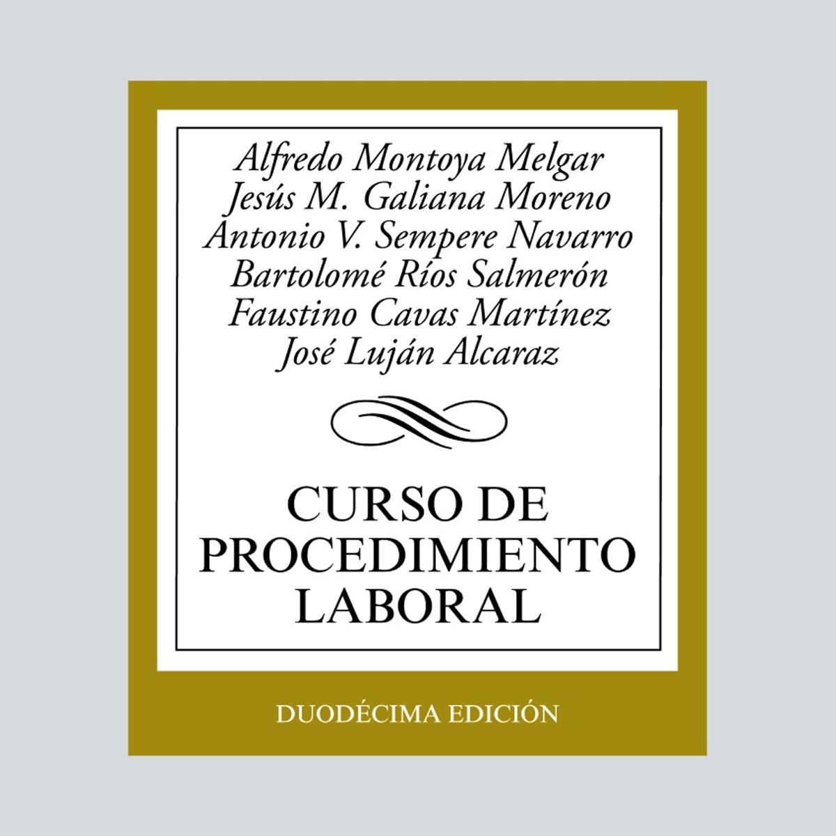 Imagem 0 de Curso de procedimiento laboral(Tapa blanda)