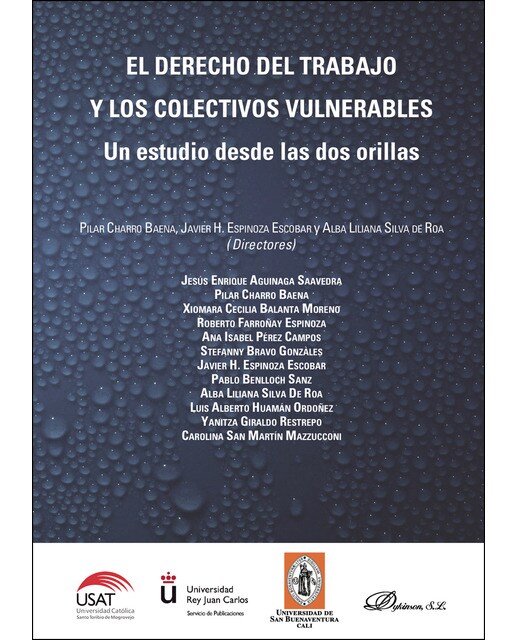 El Derecho Del Trabajo Y Los Colectivos Vulnerablesun Estudio Desde Las Dos Orillas 1