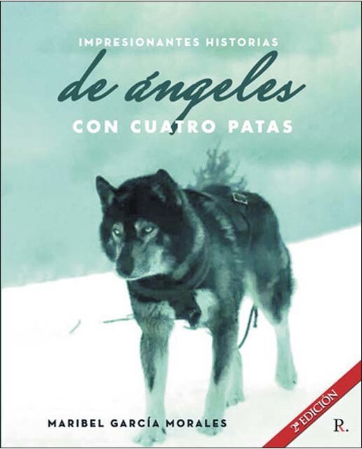 Impresionantes historias  reales de ángeles con cu 1