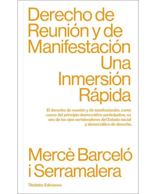 Derecho de reunión y de manifestación: Una inmersión rápida(Tapa blanda) 1