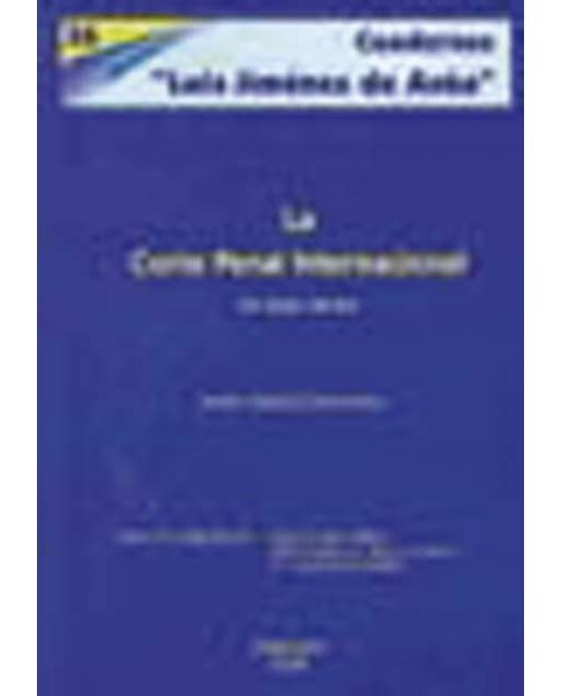 La corte penal internacional: Un largo camino(Tapa blanda) 1